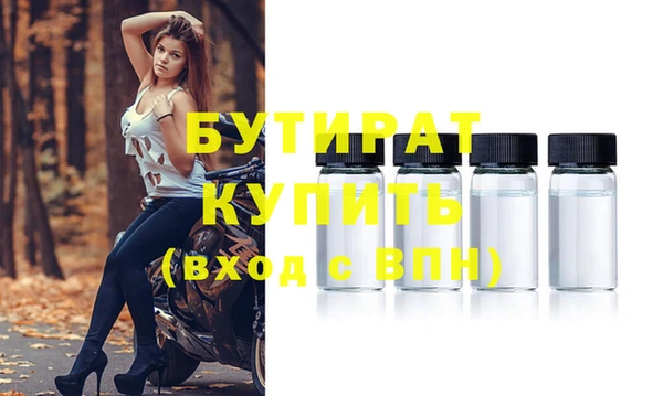 индика Гусь-Хрустальный