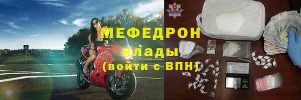 индика Гусь-Хрустальный