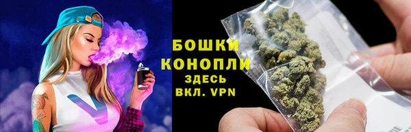 МДПВ Горнозаводск