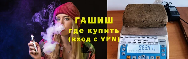 индика Гусь-Хрустальный