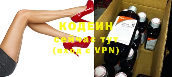индика Гусь-Хрустальный