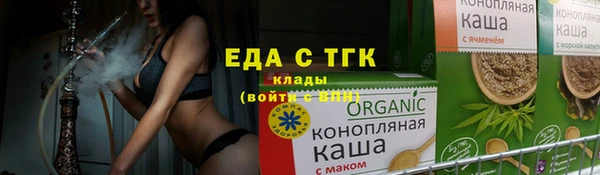 индика Гусь-Хрустальный