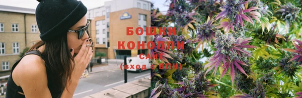 apvp Горно-Алтайск