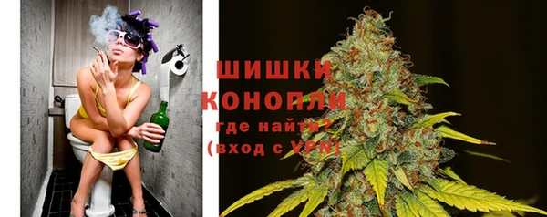 МДПВ Горнозаводск