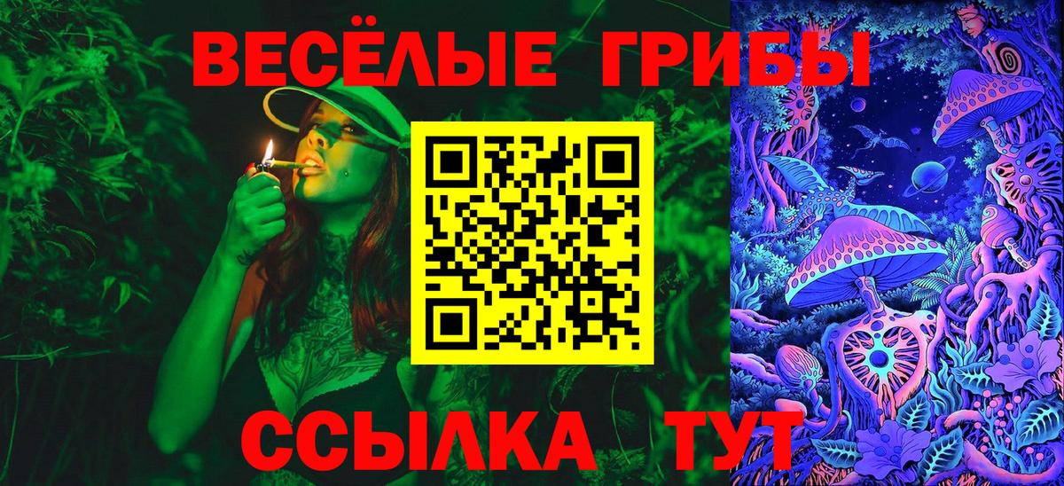 купить   Галлюциногенные грибы мухоморы  Вход с VPN  Дивногорск  Галлюциногенные грибы Psilocybine cubensis 