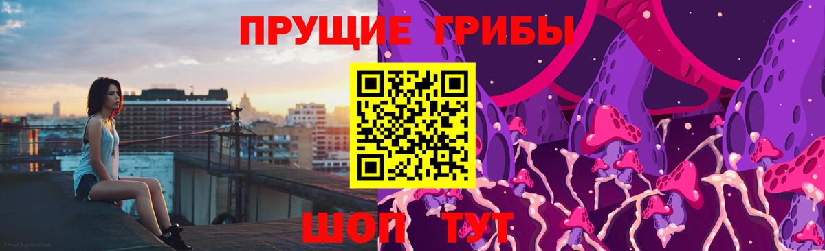 Псилоцибиновые грибы мухоморы Дивногорск